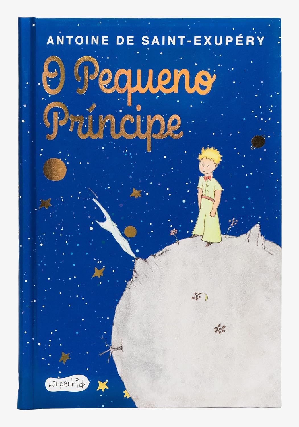 O PEQUENO PRÍNCIPE